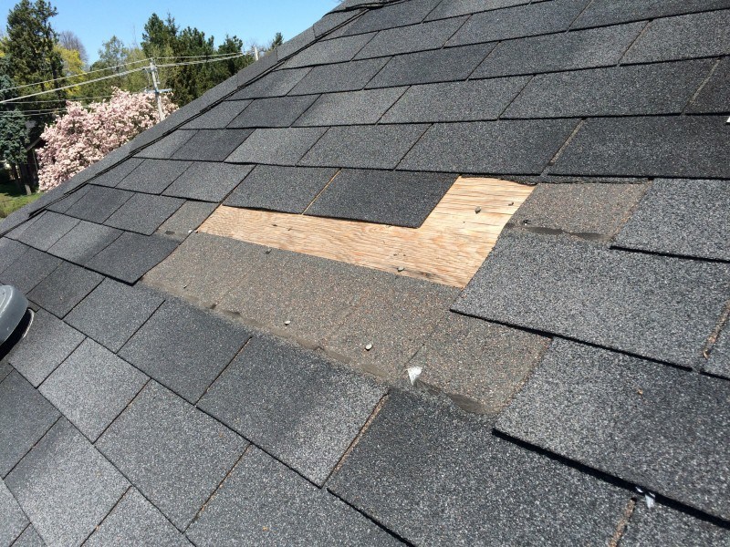 Roofing/roof leak Auckland