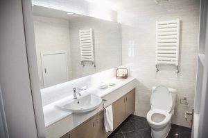 toilet repair/toilet replacement