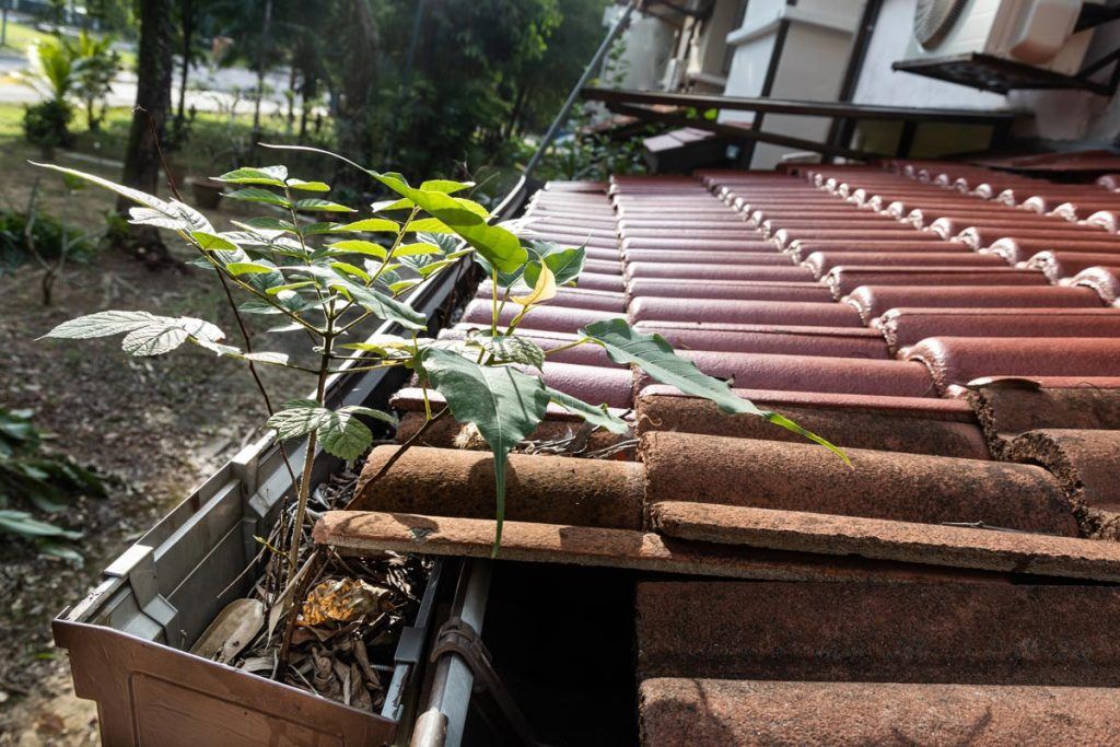 spouting gutters on roof